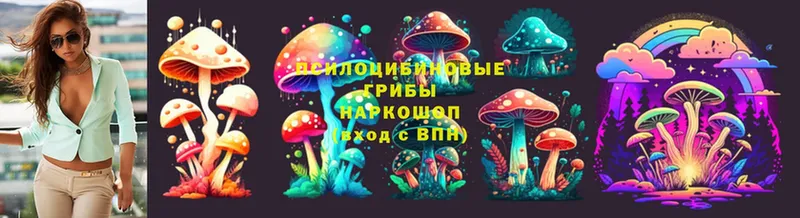 Псилоцибиновые грибы Cubensis  ОМГ ОМГ tor  Лобня 